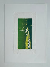 Load image into Gallery viewer, Peapod - Linocut (2009)
